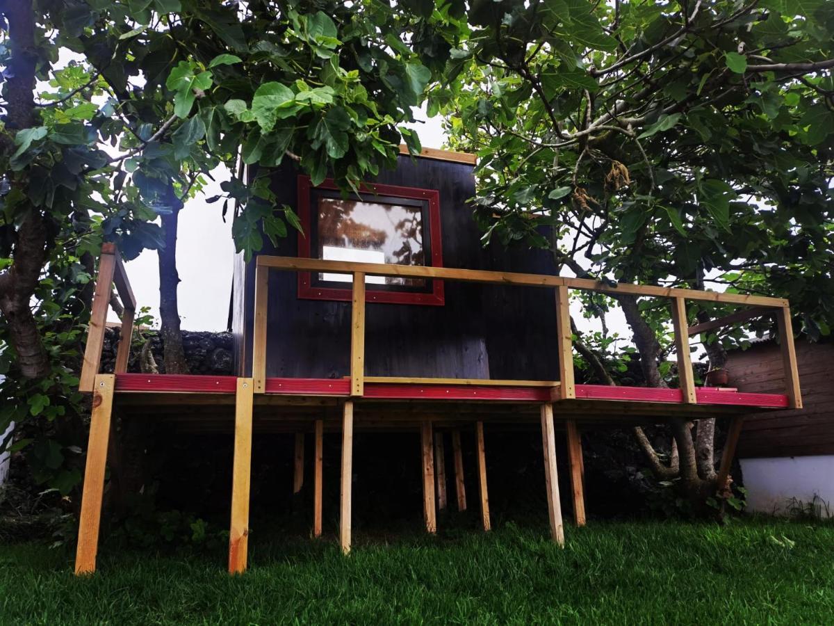 Azores Cow House Calhetas Εξωτερικό φωτογραφία